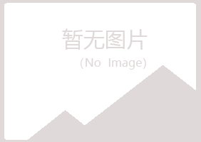 偃师慕晴服务有限公司